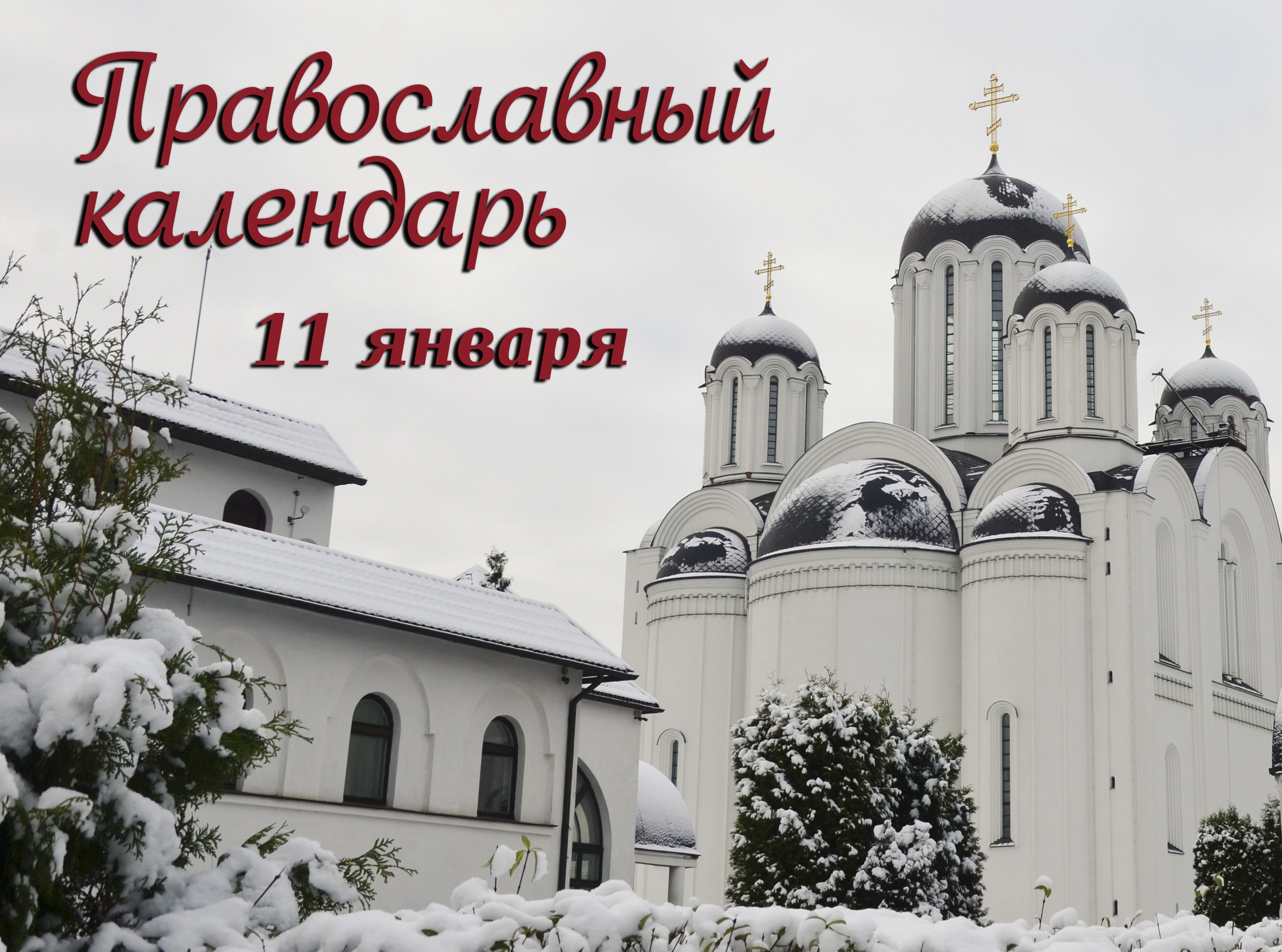 Церковный календарь: 11 января