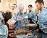 images/2025/V_prazdnik_Sreteniya_Gospodnya_Patriarshiy_Ekzarh_0215232749/