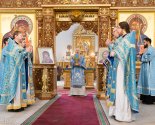 images/2025/V_prazdnik_Sreteniya_Gospodnya_Patriarshiy_Ekzarh_0215232749/