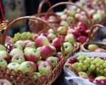 images/2026/Osvyashchenie_yablok_v_prazdnik_Preobrazheniya_Gospodnya_dlya7134868.jpg