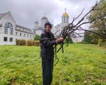 images/2026/Sotsialnie_masterskie_/