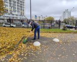 images/2026/Sotsialnie_masterskie_/