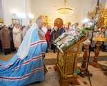images/2026/V_prazdnik_Sreteniya_Gospodnya_Patriarshiy_Ekzarh_0215193426/