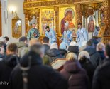 images/2026/V_prazdnik_Sreteniya_Gospodnya_Patriarshiy_Ekzarh_0215193426/