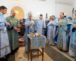 images/2026/V_prazdnik_Sreteniya_Gospodnya_Patriarshiy_Ekzarh_0215193426/
