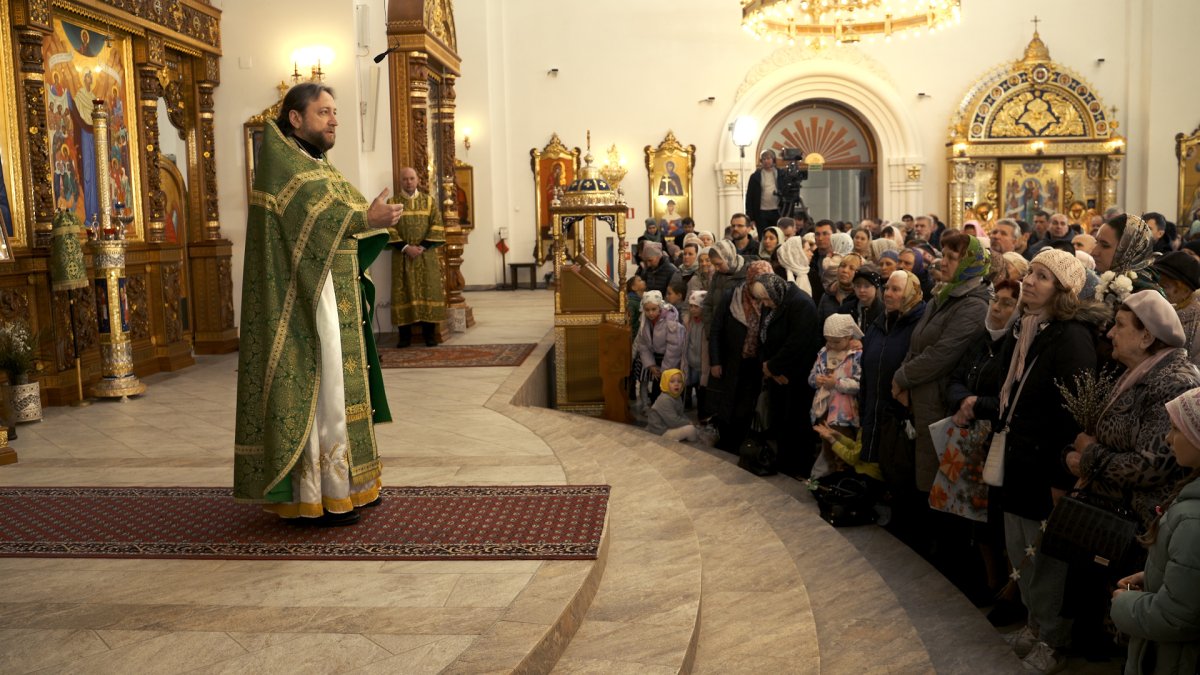 Вход Господень в Иерусалим. Проповедь протоиерея Виктора Мельникова